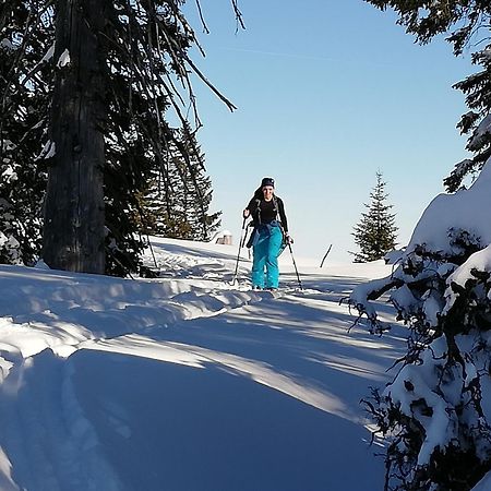 Pension Kasbergblick Scharnstein Bagian luar foto