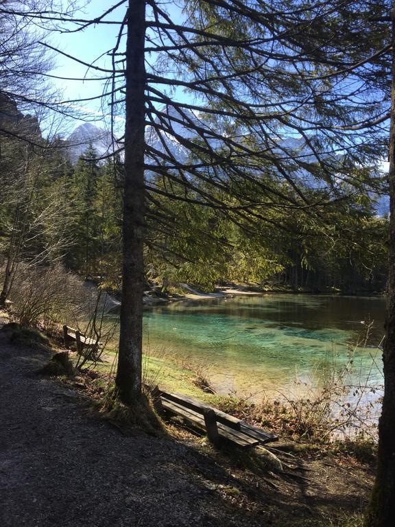 Pension Kasbergblick Scharnstein Bagian luar foto