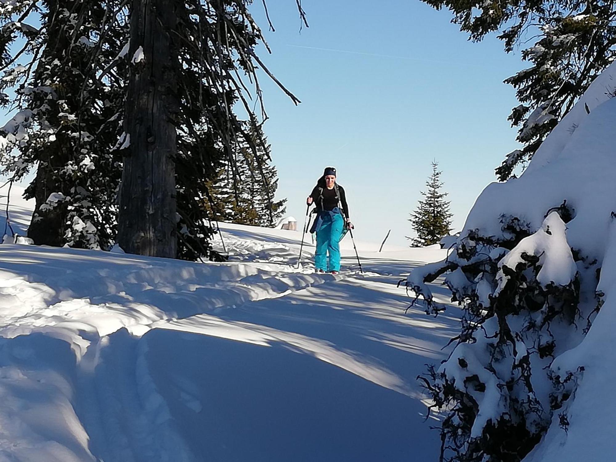 Pension Kasbergblick Scharnstein Bagian luar foto